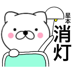 Name cat Hoshimoto