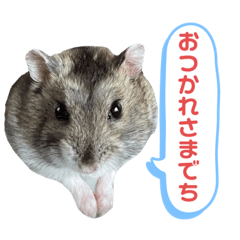 Miki_20220307192144