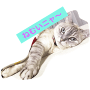 smile-cat