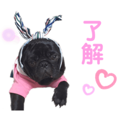 Kentaro.KWON_20220307210158