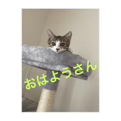 yuka_20220308014444