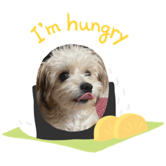 dora_202203080831302