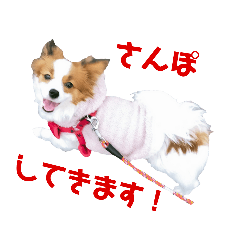 naopuri_20220308041452