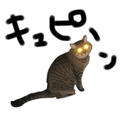 SAKEKE_20220307232835