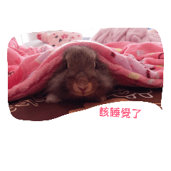 Dobiball