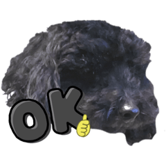 mizuki_20220307222338