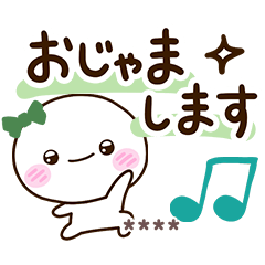 Shiro Ribon (Custom6)