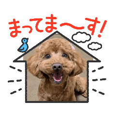 hanamama_20220307191106