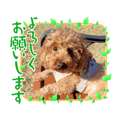hanamama_20220308120743