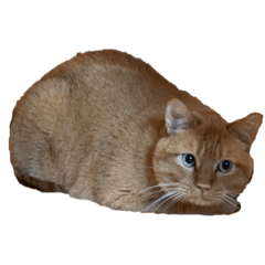 natsumi_20220308125814