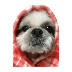 SAKEKE_20220308085346