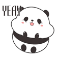 Cute Chubby Panda