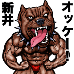 Arai dedicated Muscle macho animal