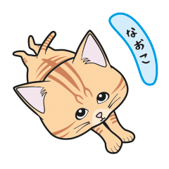 [Only for Naoko](orange tabby)