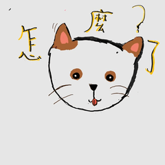 happy happy happy happy cats