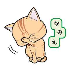 [Only for Namie](orange tabby)