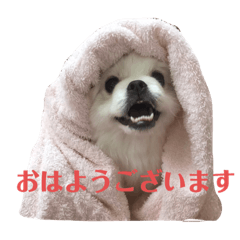 Tori_20220307202050