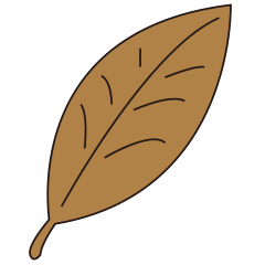 dead leaves and leaves