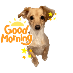 YUKARI_20220308161038