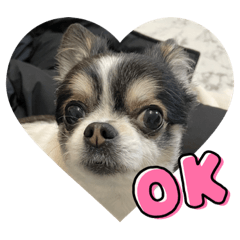 YUKARI_20220308162747