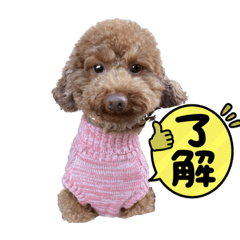 KUU_20220308192915