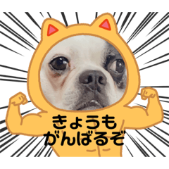 eririn_20220308200551
