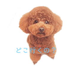 Yuka_20220308201845