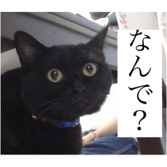 shiho_20220308213929