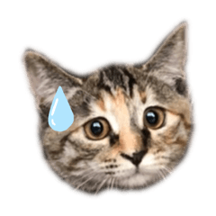 yamada_20220308221504