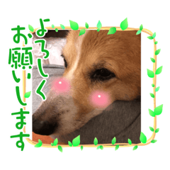 TOri_20220308223546