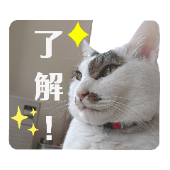 riho_20220308223152