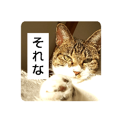 kaori_20220308223322