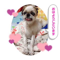 akari_20220308223224