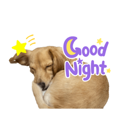 YUKARI_20220308230122