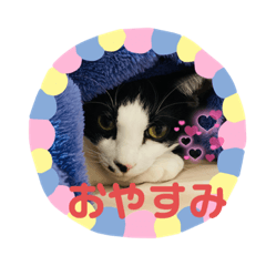 hana_20220308233324