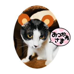 hana_20220309020838