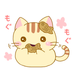 Taiyaki cat