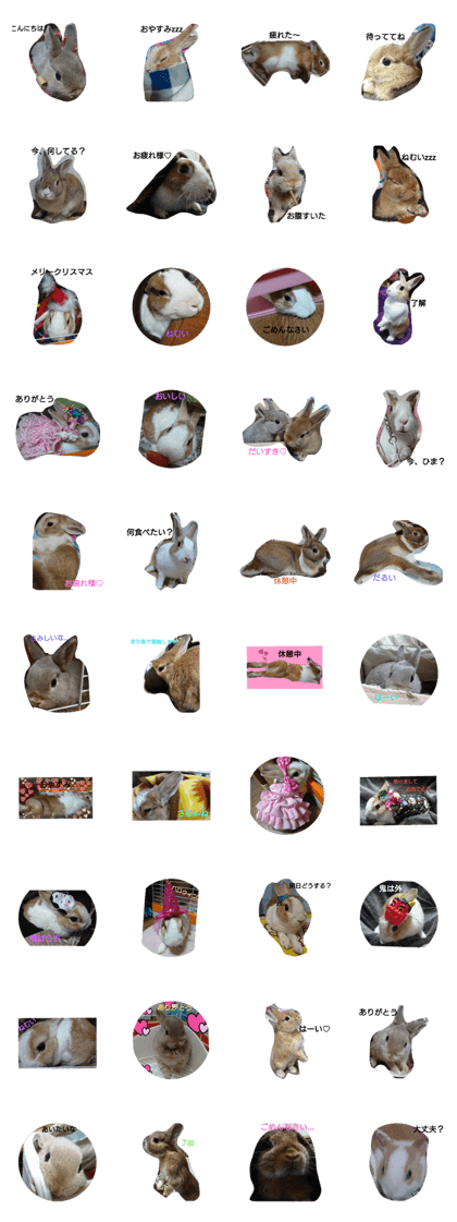 pretty-rabbits