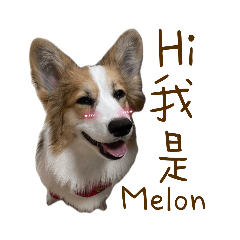 ✿美濃Melon✿ part 1