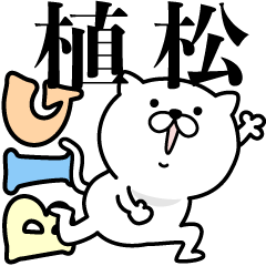 Pretty kitten UEMATSU Sticker [BIG]