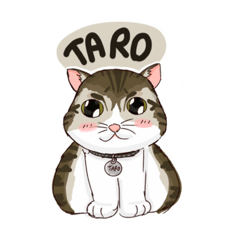 Taro_20220308233628