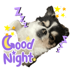 YUKARI_20220308164243