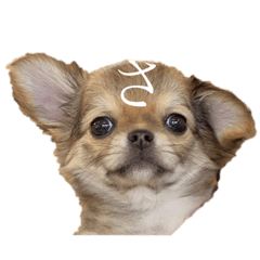 otanu_san_20220308221751