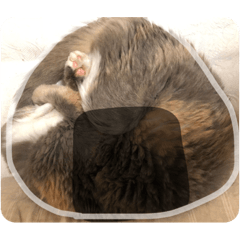 lilinosuke_20220308181800