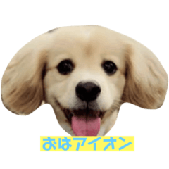 chie_20220308210128