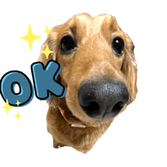 saK_20220308184715