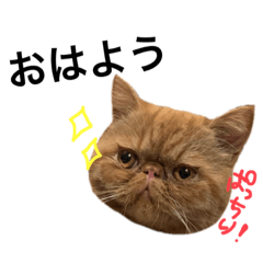 aozora_20220308183444