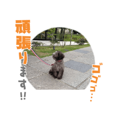 AtomuMama_20220308192953