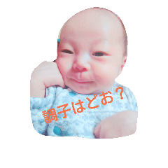 Aoi Baby