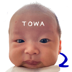 TOWA TOWA KUN2